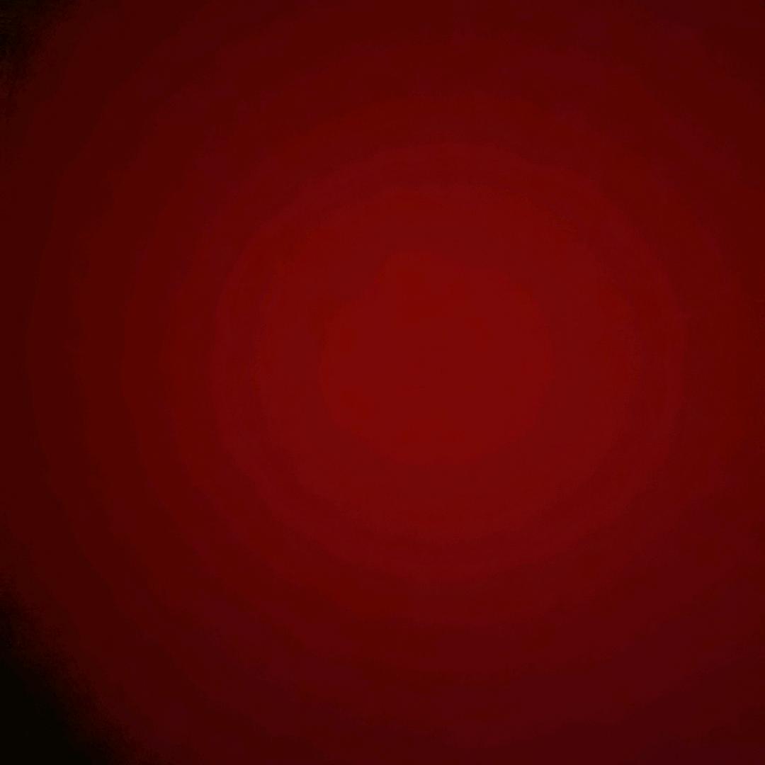 血狼🐺