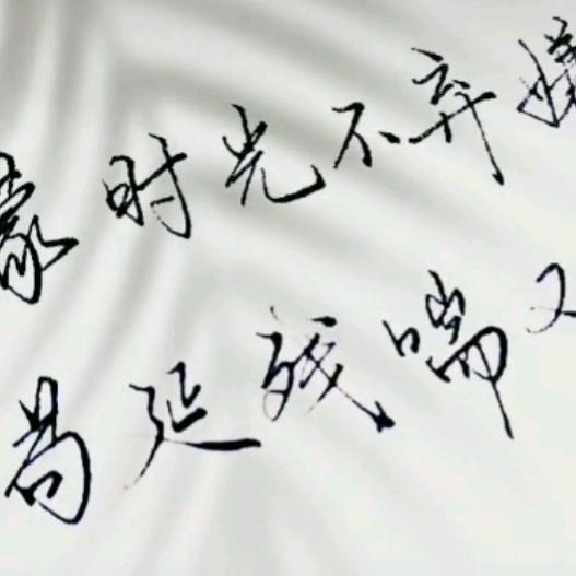 雅迪电动车塔岗店付伟