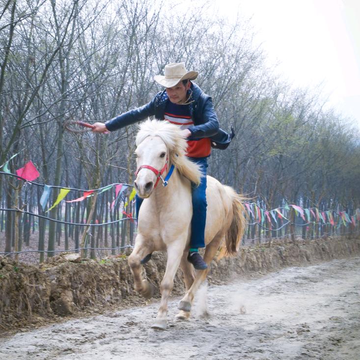 瑞昌赛湖二分场十一连（苏家墩）小白龙骑马