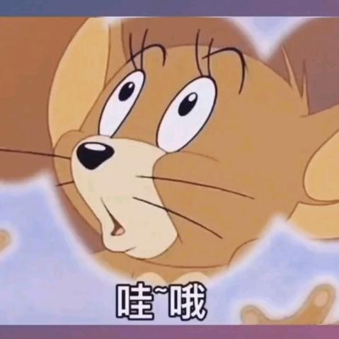 🌈房屋出租免中介费🌈