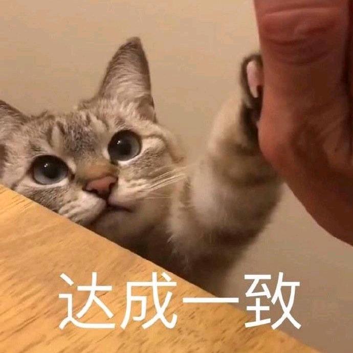 番茄蔚