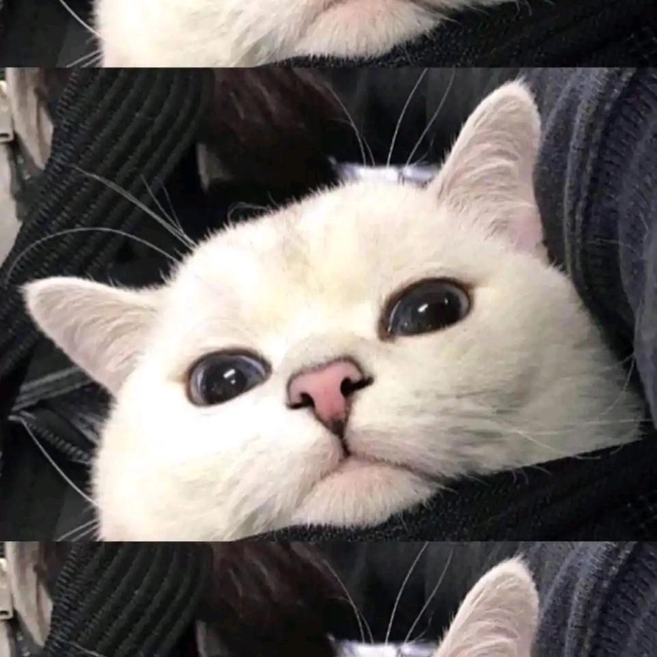 滚烫的生活