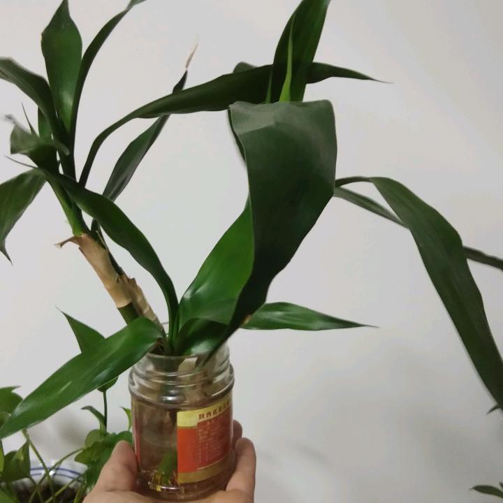 用户564865442不管几岁，快乐万岁