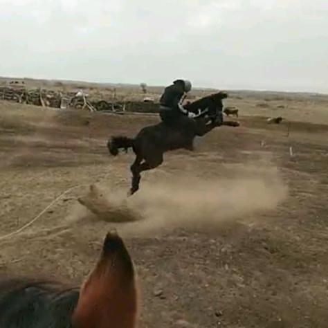 ༺།༼࿄࿆马背上的男孩 ࿅࿆༽།༻