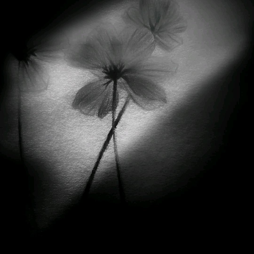 এ Y 军