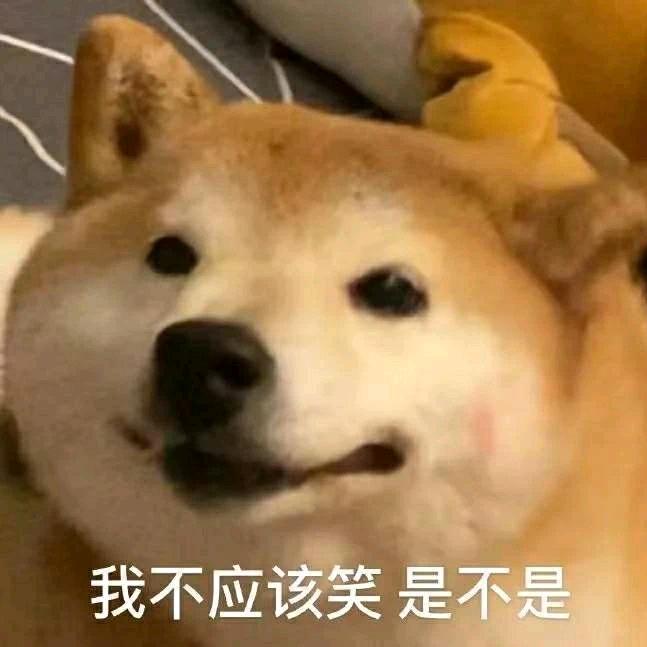 几度寒头像