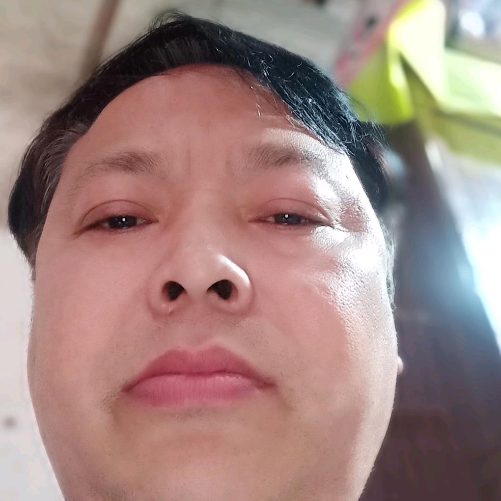 鹰哥