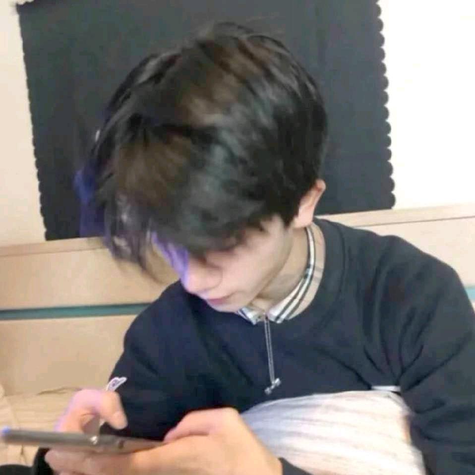 鹏不是朋