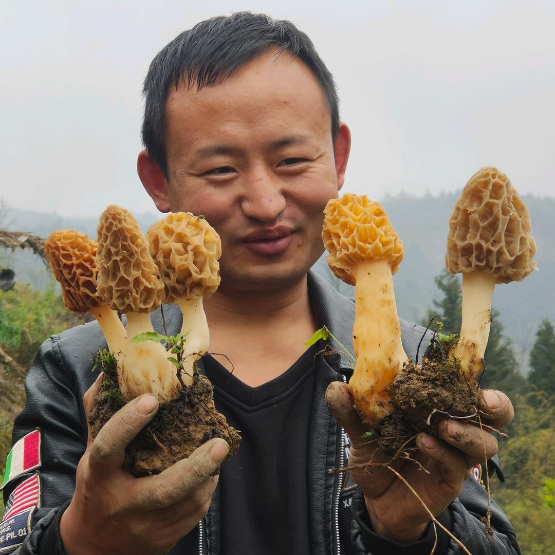 天下菇农是一家