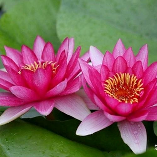 回眸🌈一笑🍎