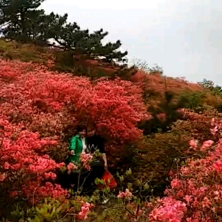 程江
