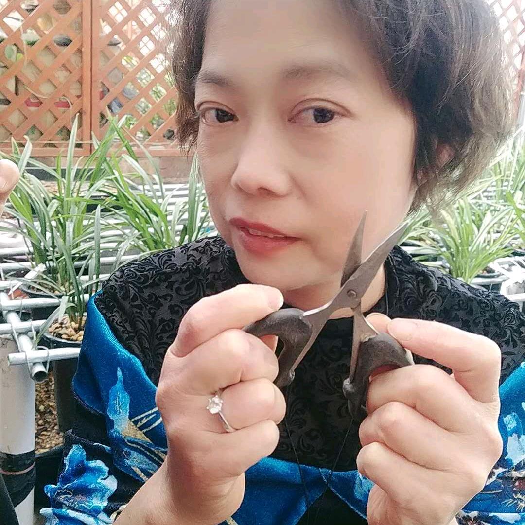 建兰花卉  惠惠