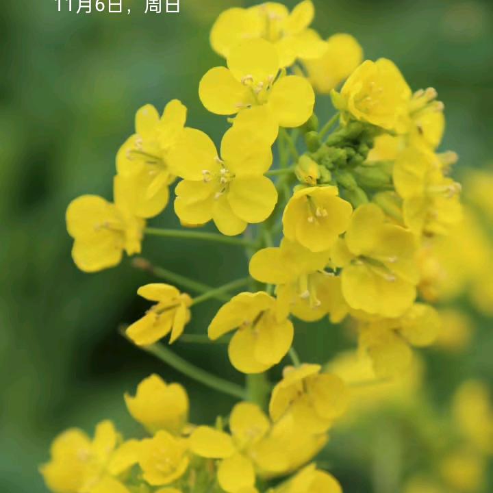 永远向前