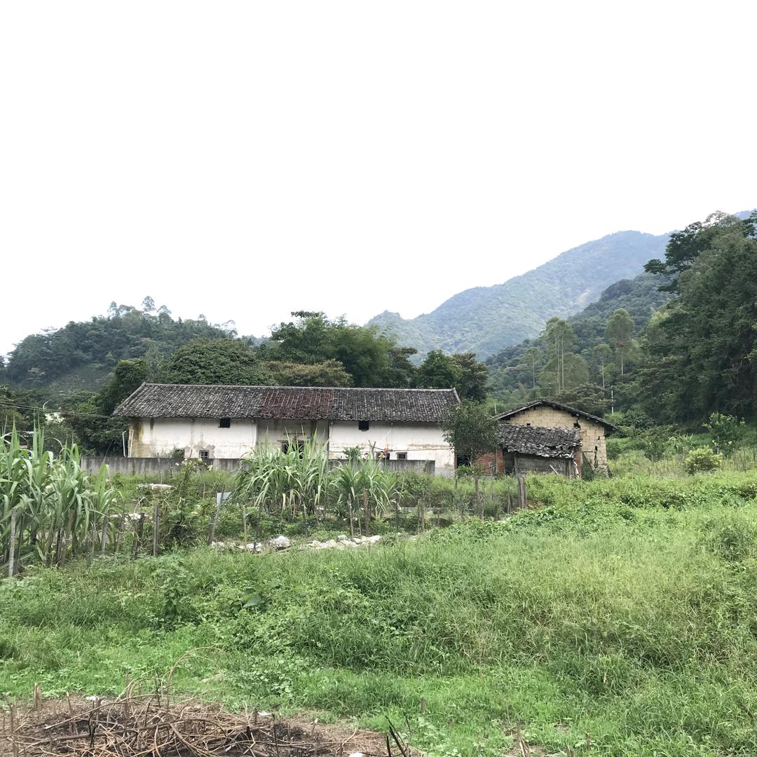 博罗田园屋舍民宿