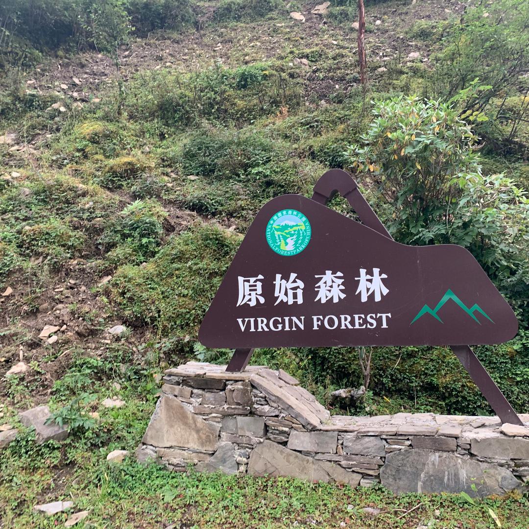 心之所向