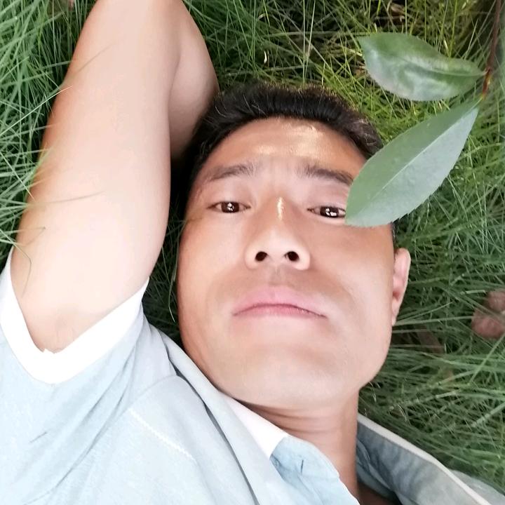 阿洋哥