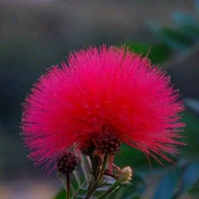 春暖花开