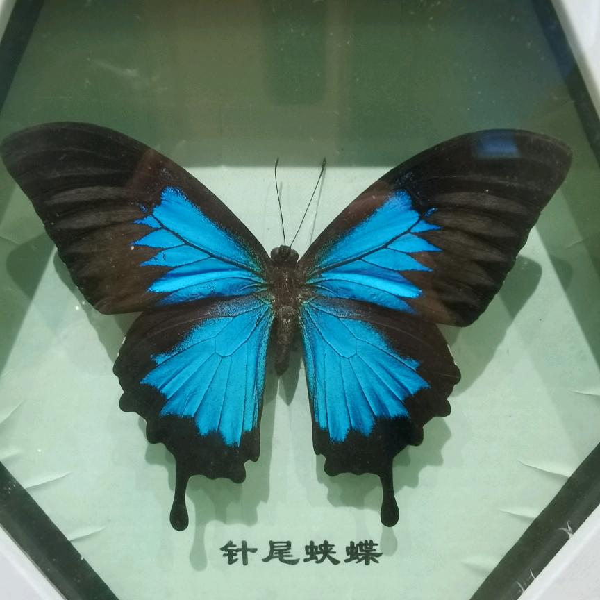 李若宁