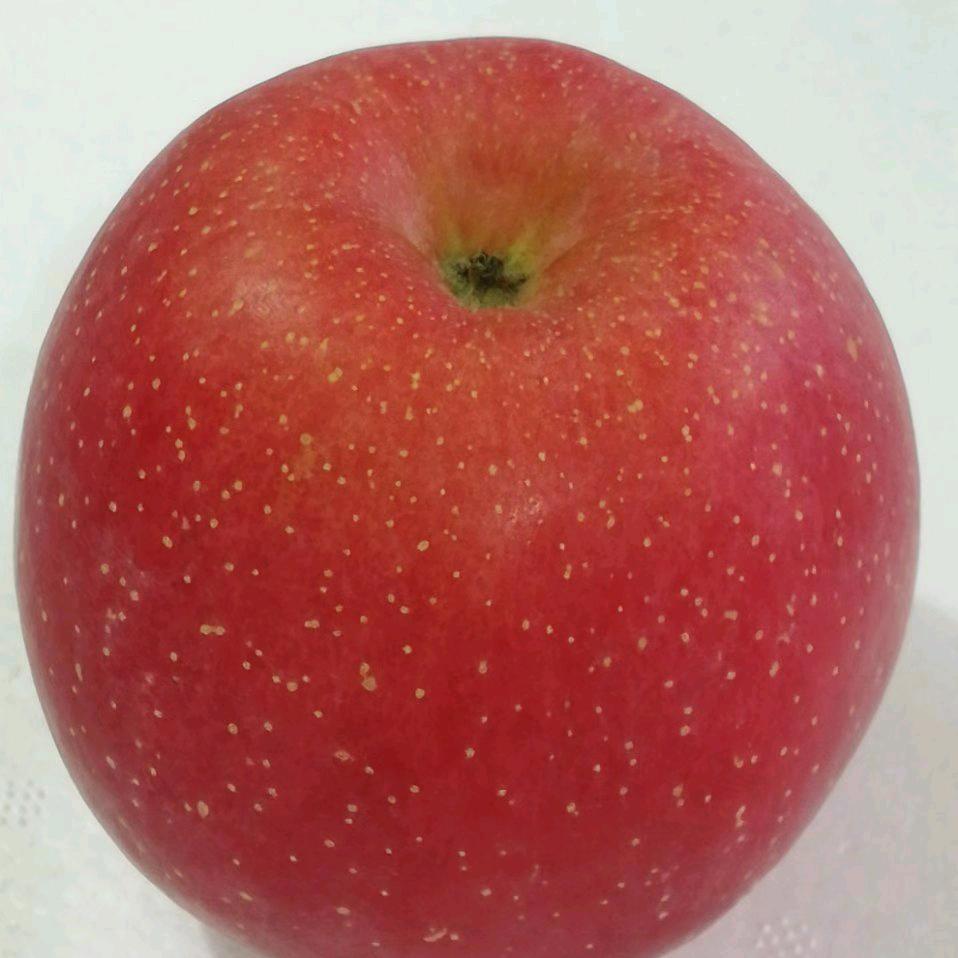 人寿年丰(❁´◡`❁)*✲ﾟ*