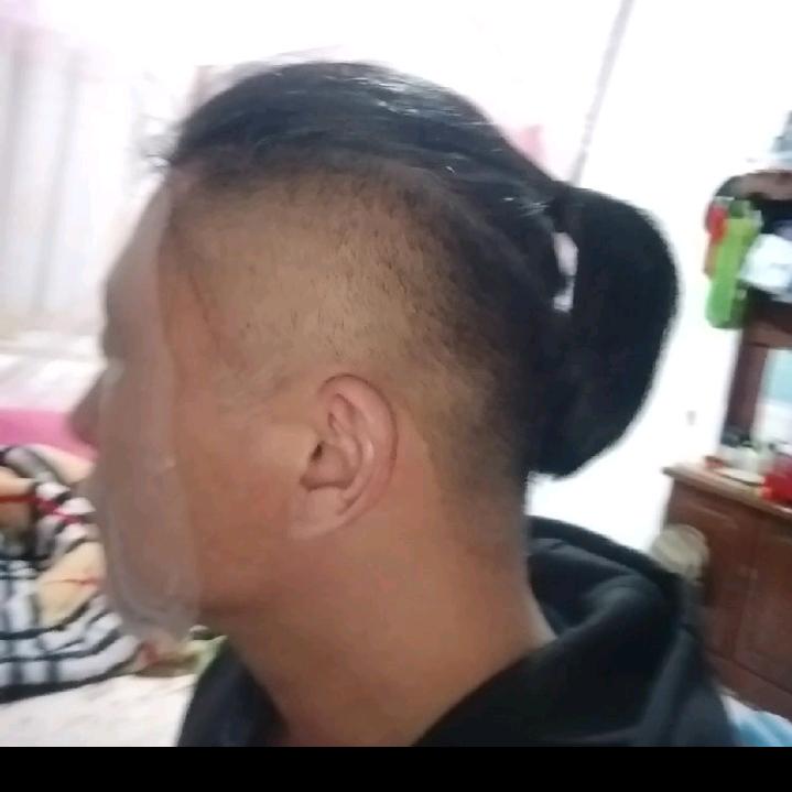 杉杉来了