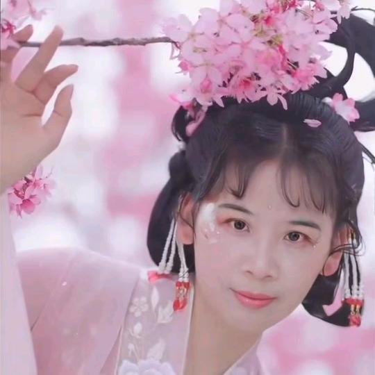 清兰