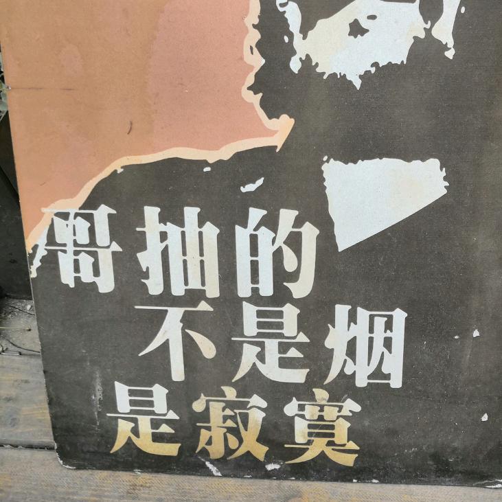 迷途的小羊