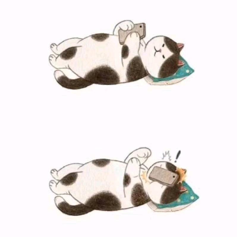 .........