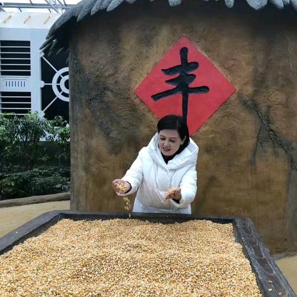 红梅