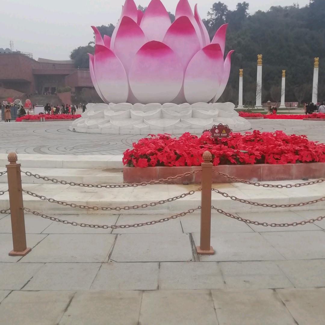 往后余生，