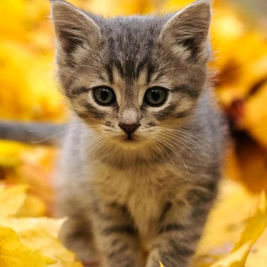 我想陪你走下去