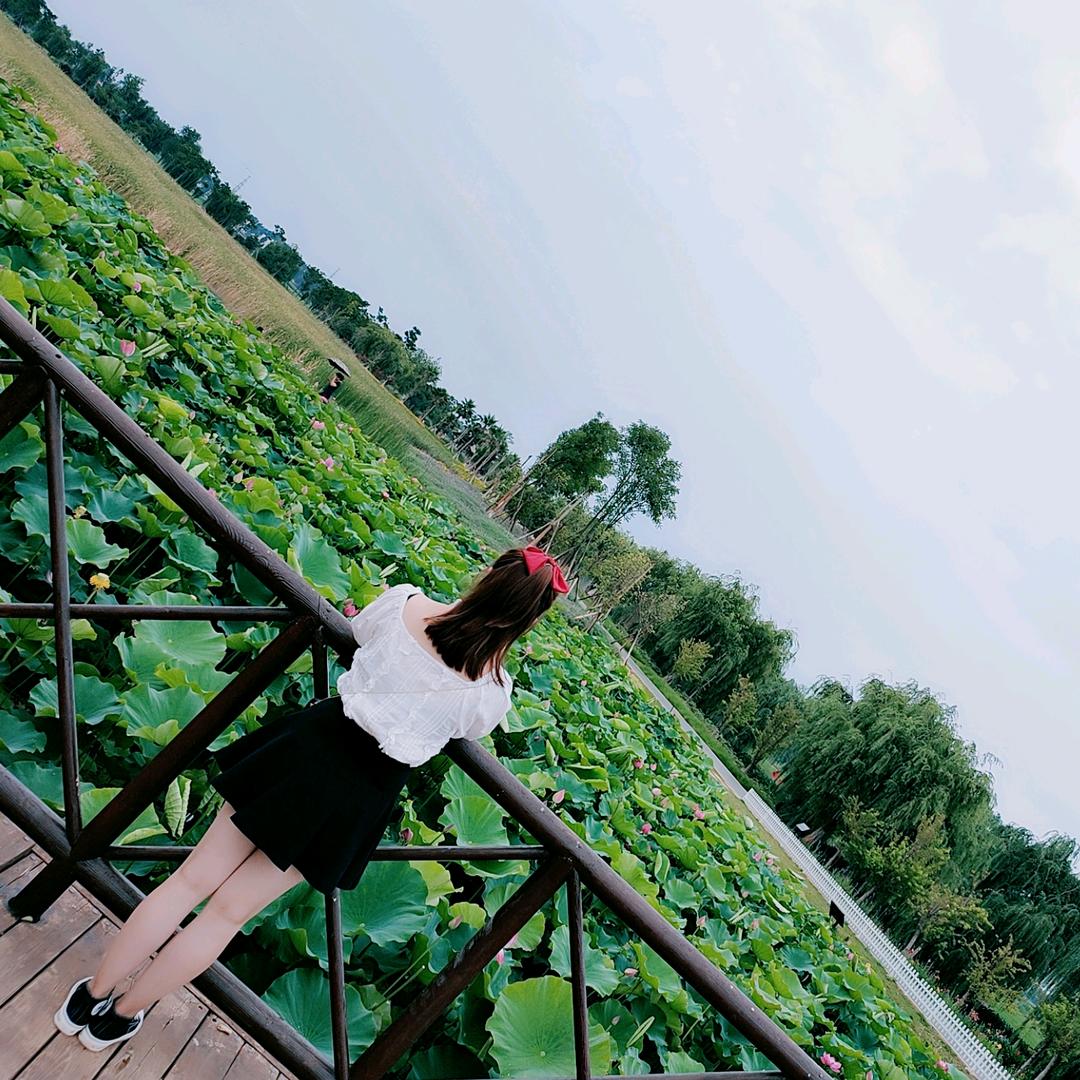 做向日葵般的女纸🌻