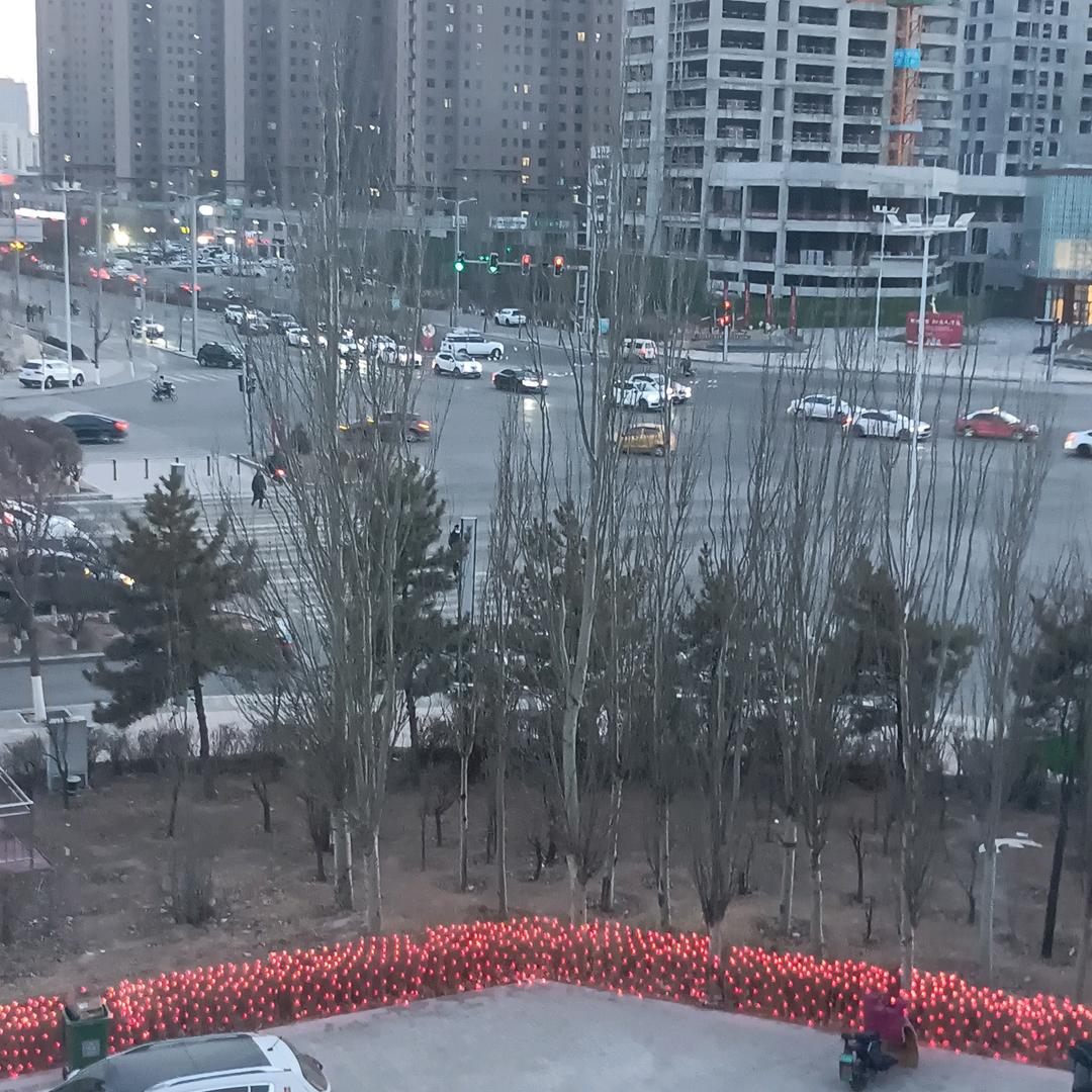 赵秀华