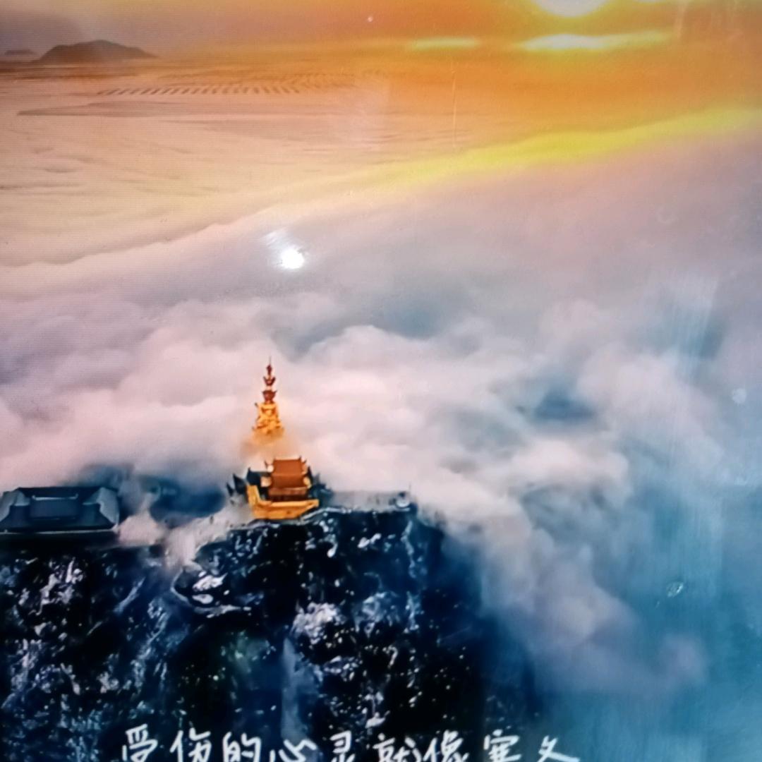 神龍