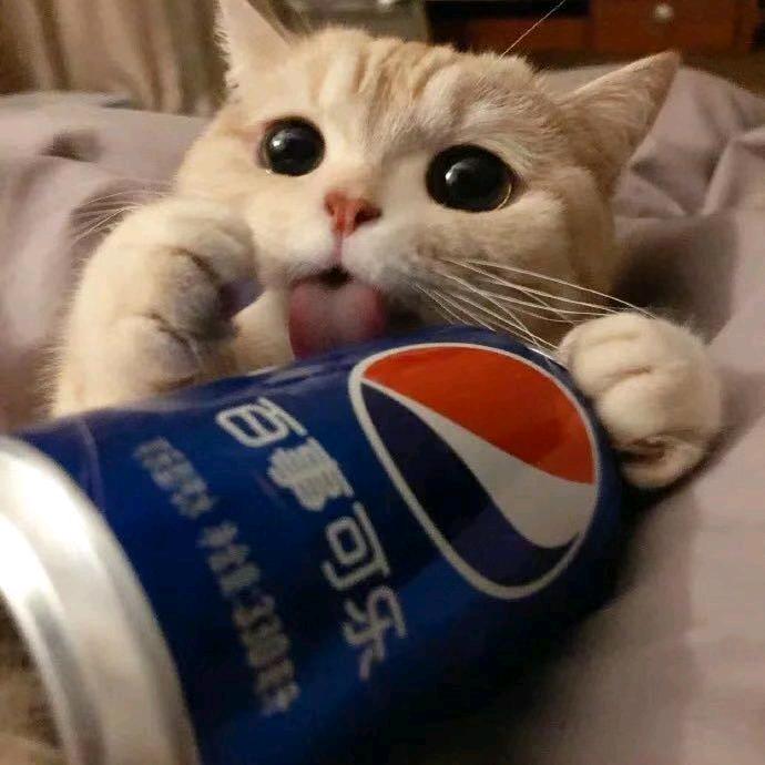 小打+小闹=小幸福