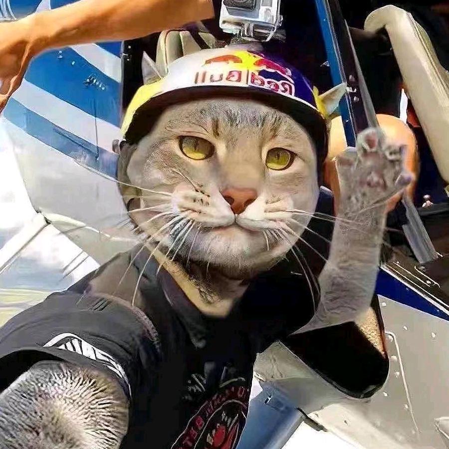 足道亦是道.手法也是法🍁🍁🍁🍁