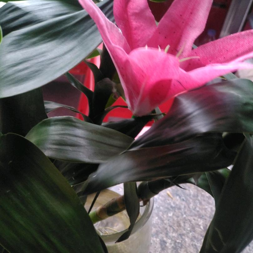 烧水山行家(●°u°●)