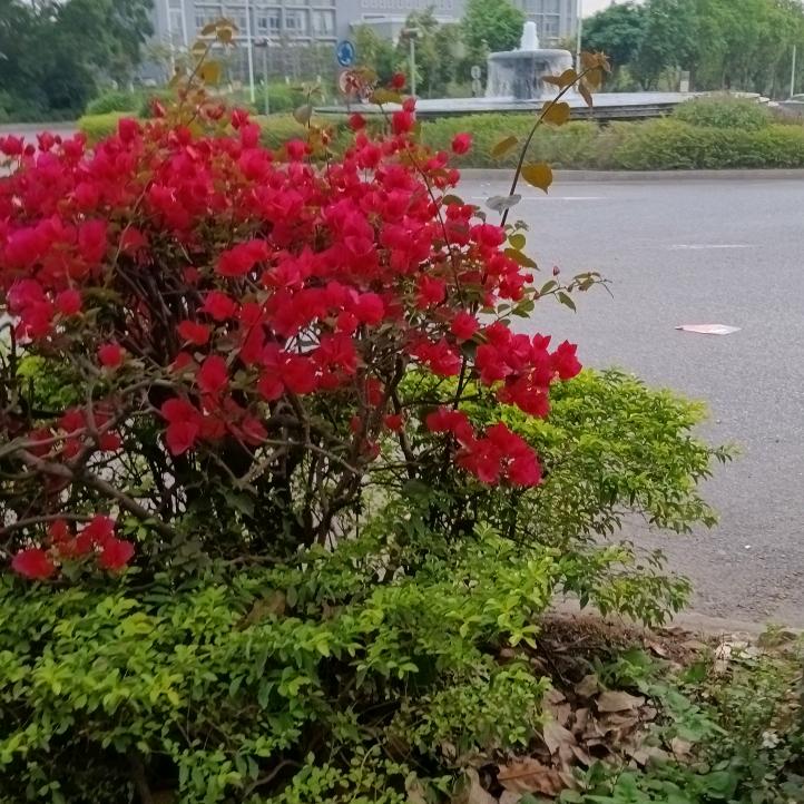 用户9175676154819拒绝私聊。