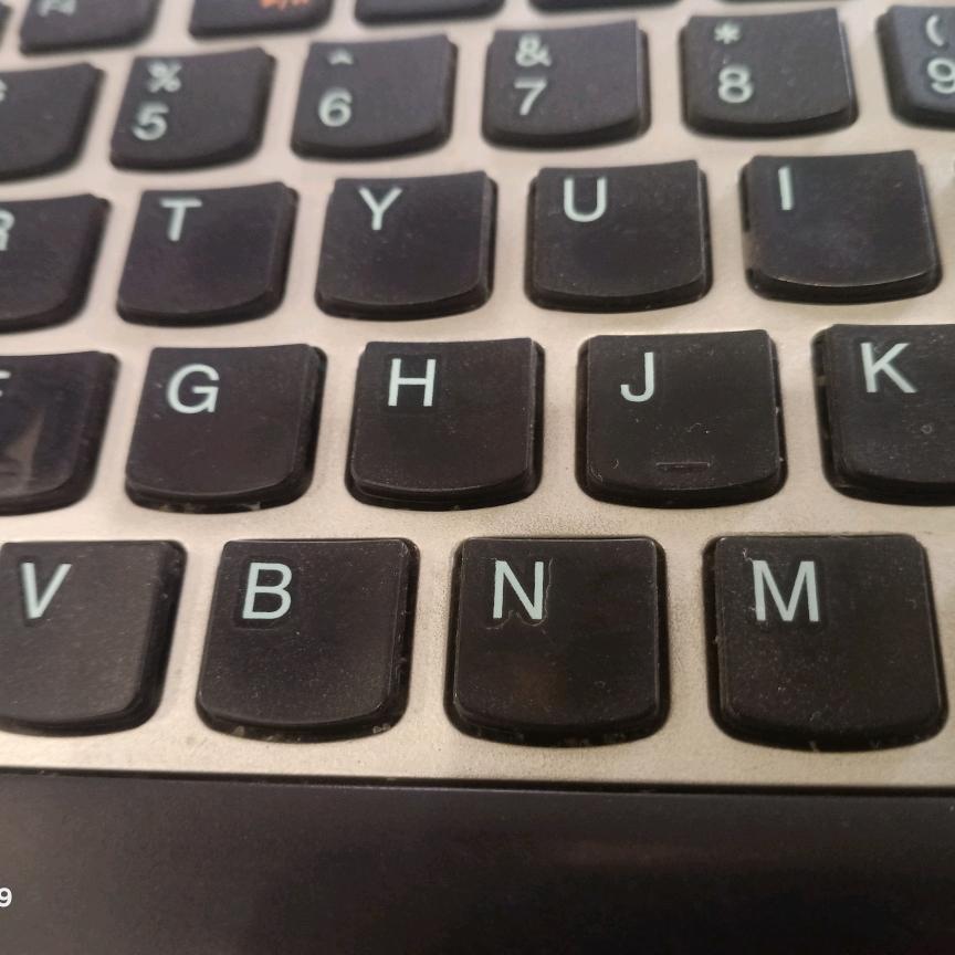 蒋七