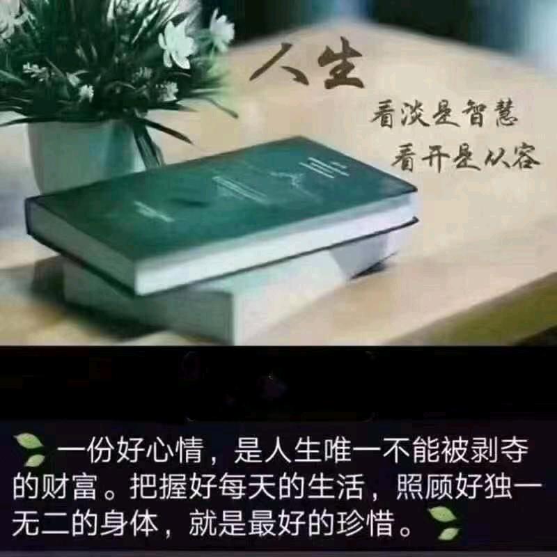 纵横