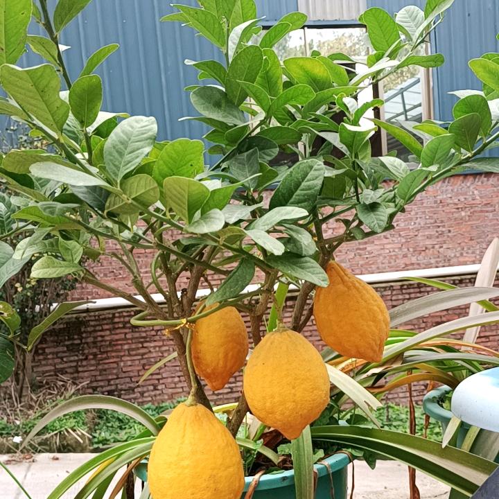 @越努力，越幸运