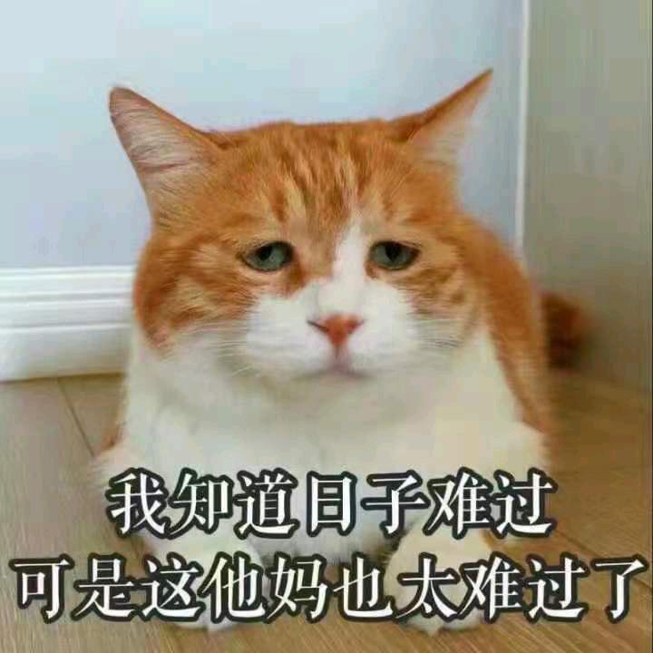 是阿艺啊！