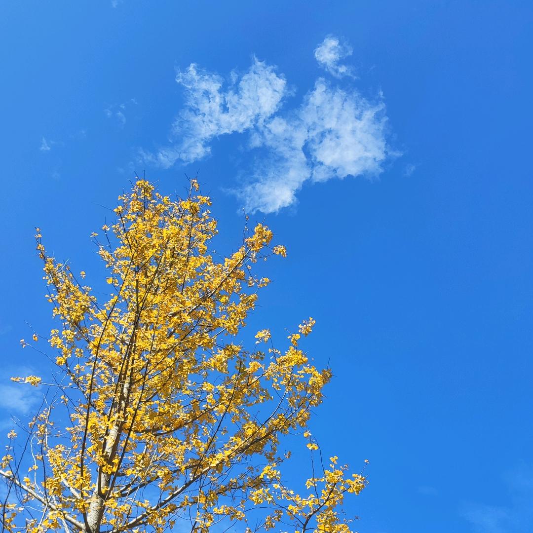 刻意训练