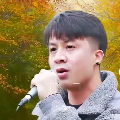 梦之星