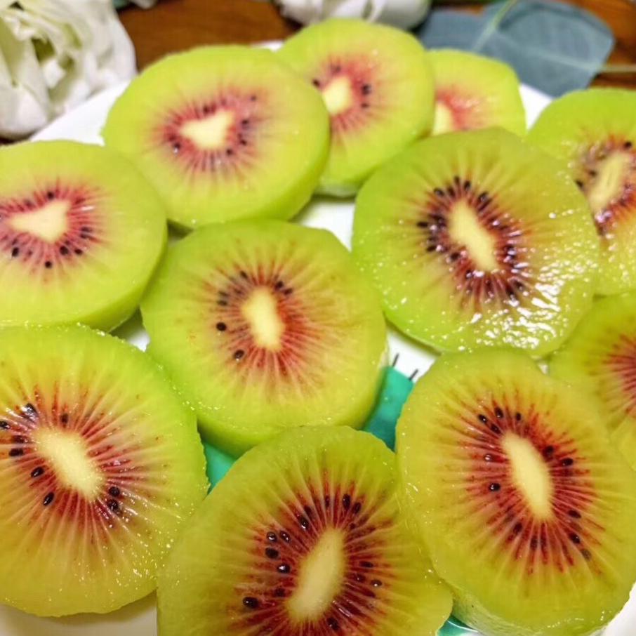 波哥