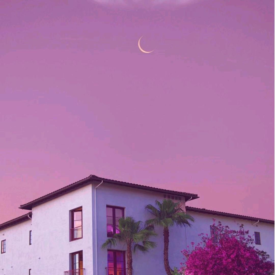 美好的明天、
