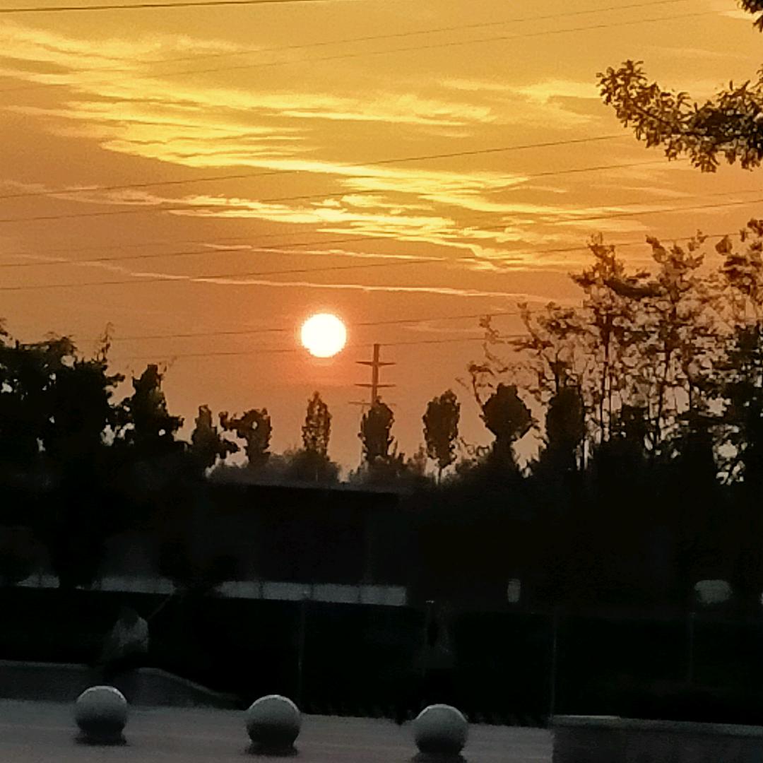洲洲
