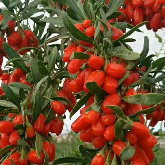 幸福因为有妳……