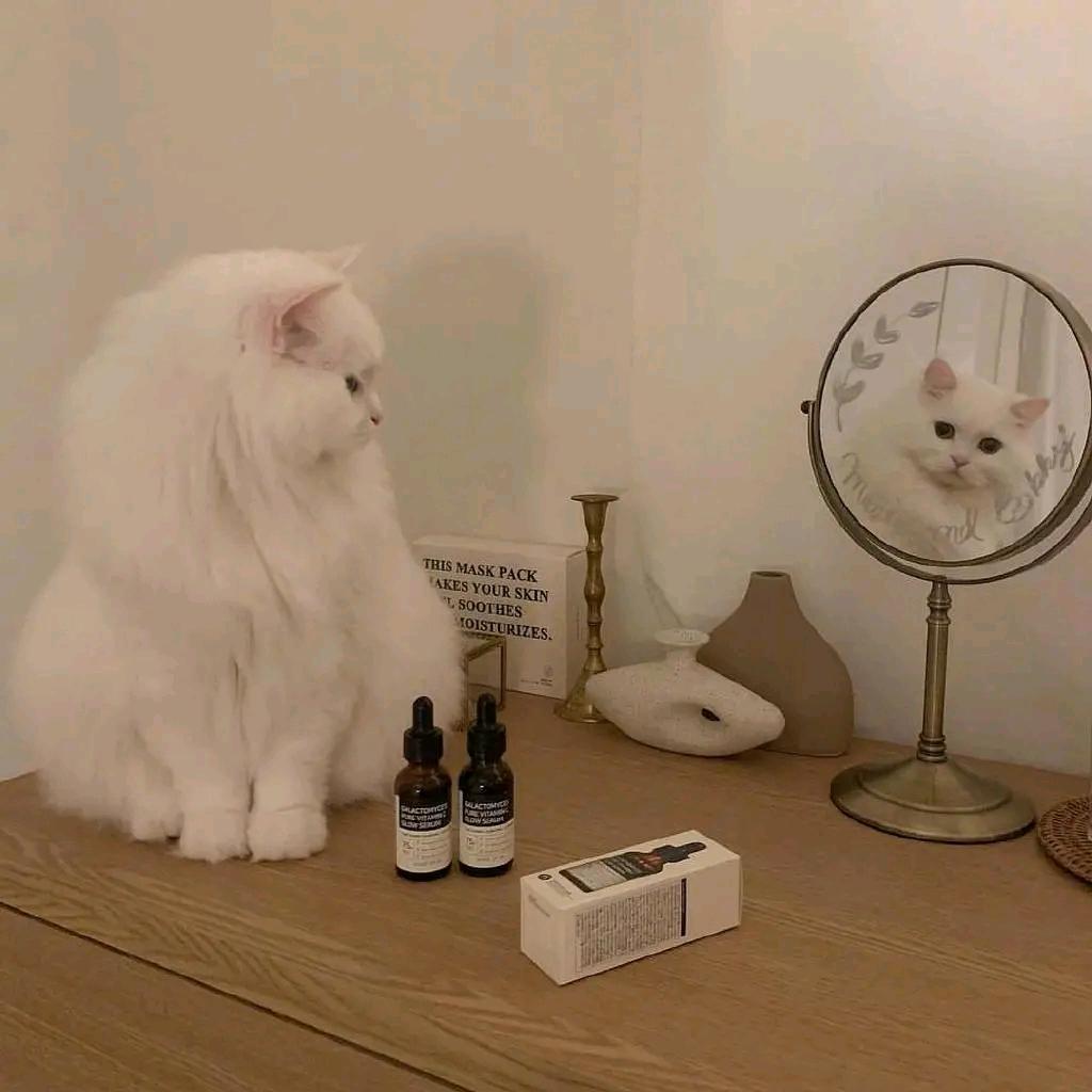 小意纪实