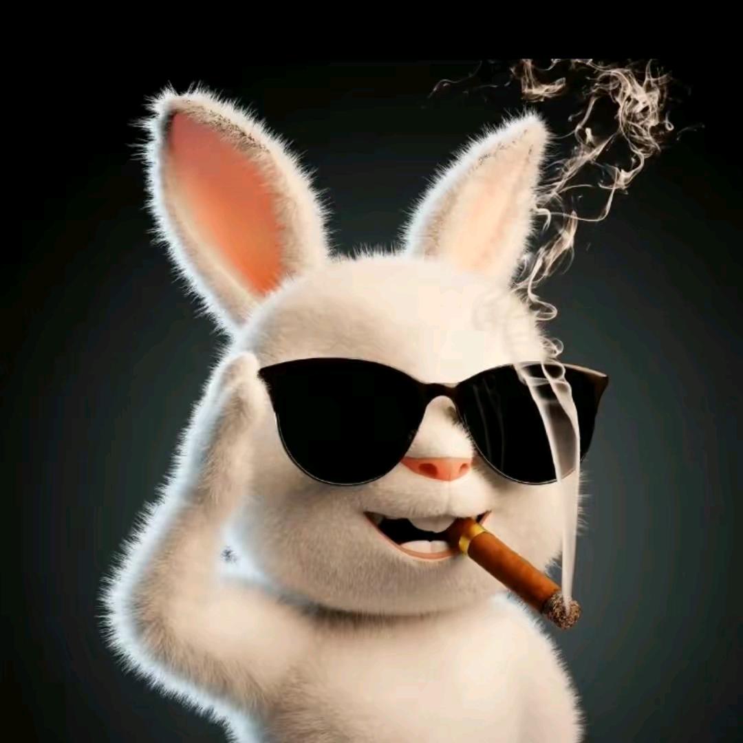 一个哒不刘