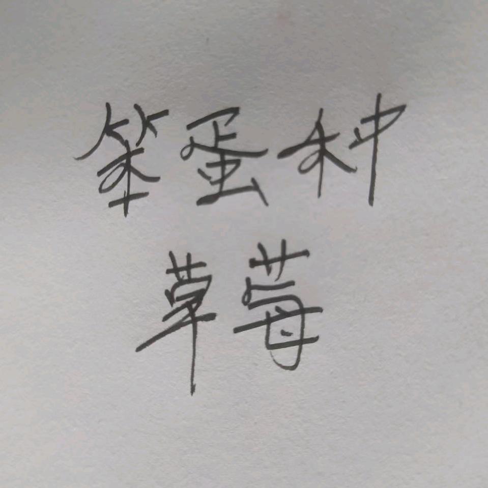 笨蛋种草莓